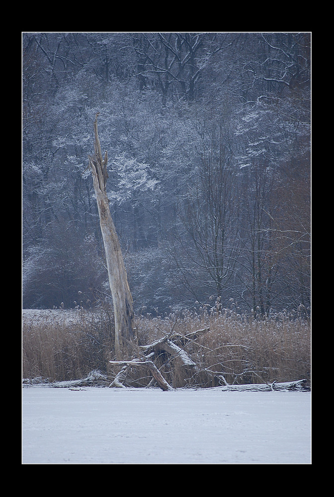 Aalkistensee