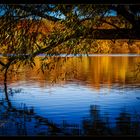 Aalkistensee Maulbronn