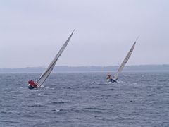 Aalregatta 2007 in der Eckernförder Bucht