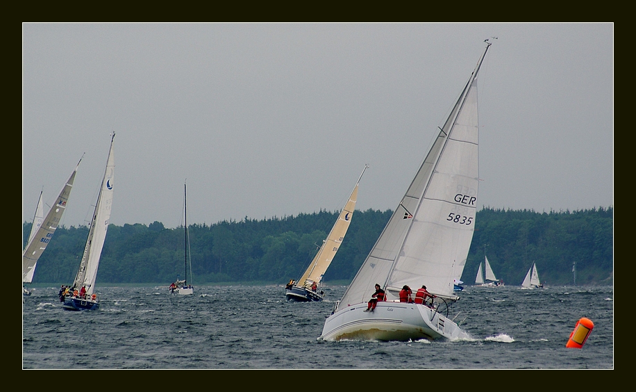 Aalregatta - Eckernförder Bucht