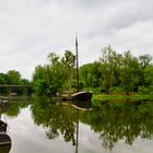 Aalschocker im alten Siegarm