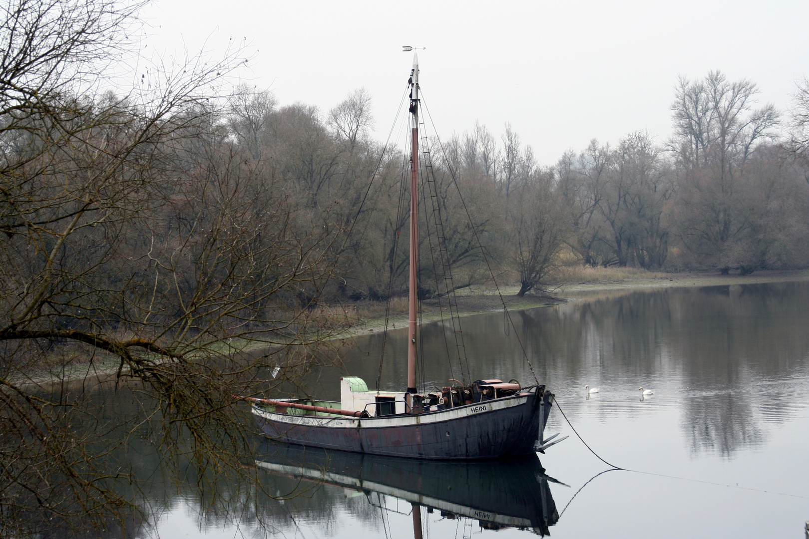 Aalschokker "Heini"