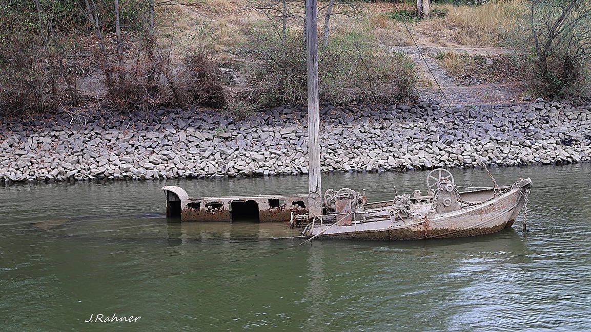 Aalschokker im Rhein 