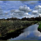 Aan het Noord-Hollandse kanaal ...