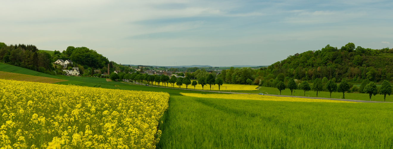 Aar-Landschaft