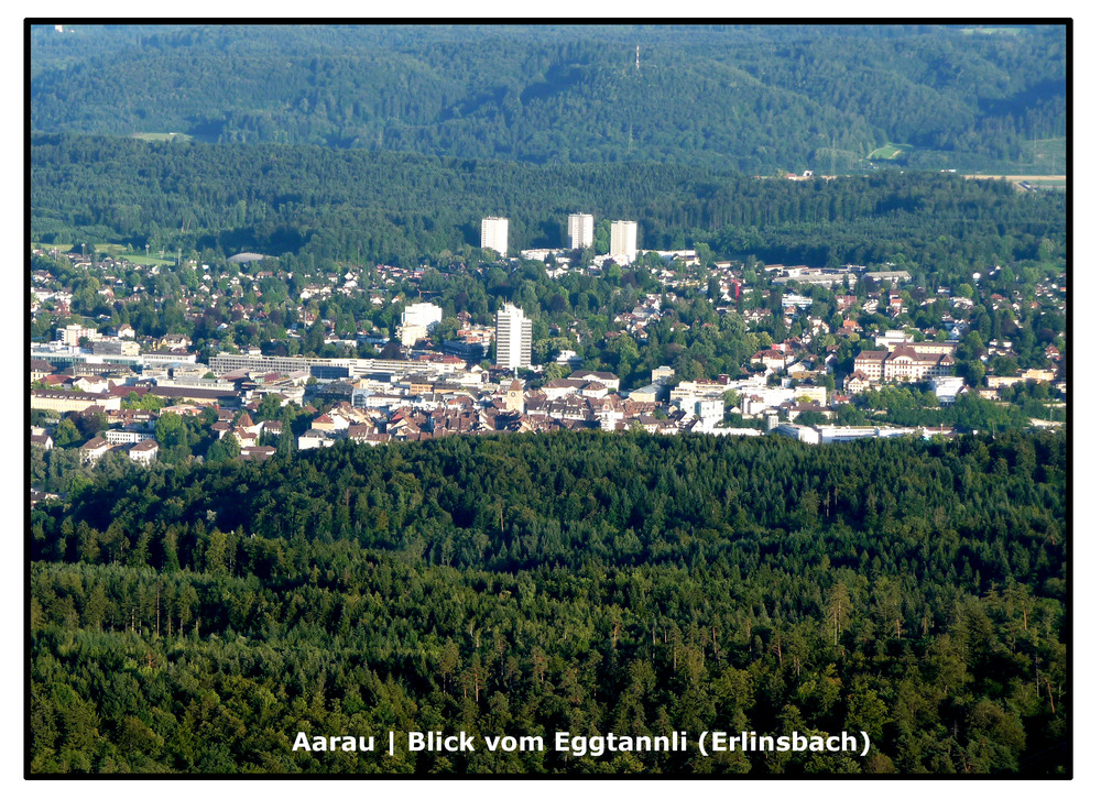 Aarau .... steht im Walde ....