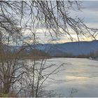 Aare