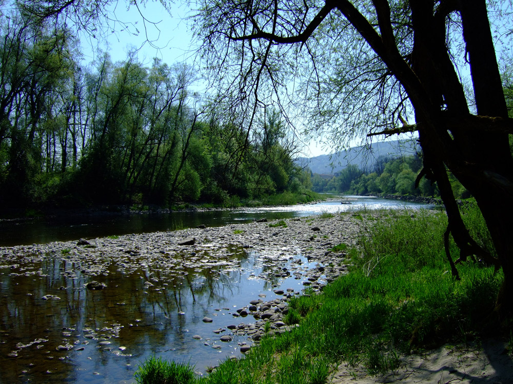 Aare