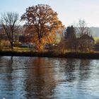 Aare bei Bellach