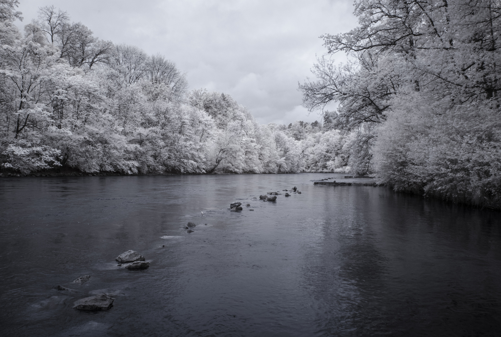 Aare bei Muri