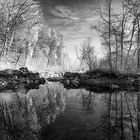 Aare bei Rubigen