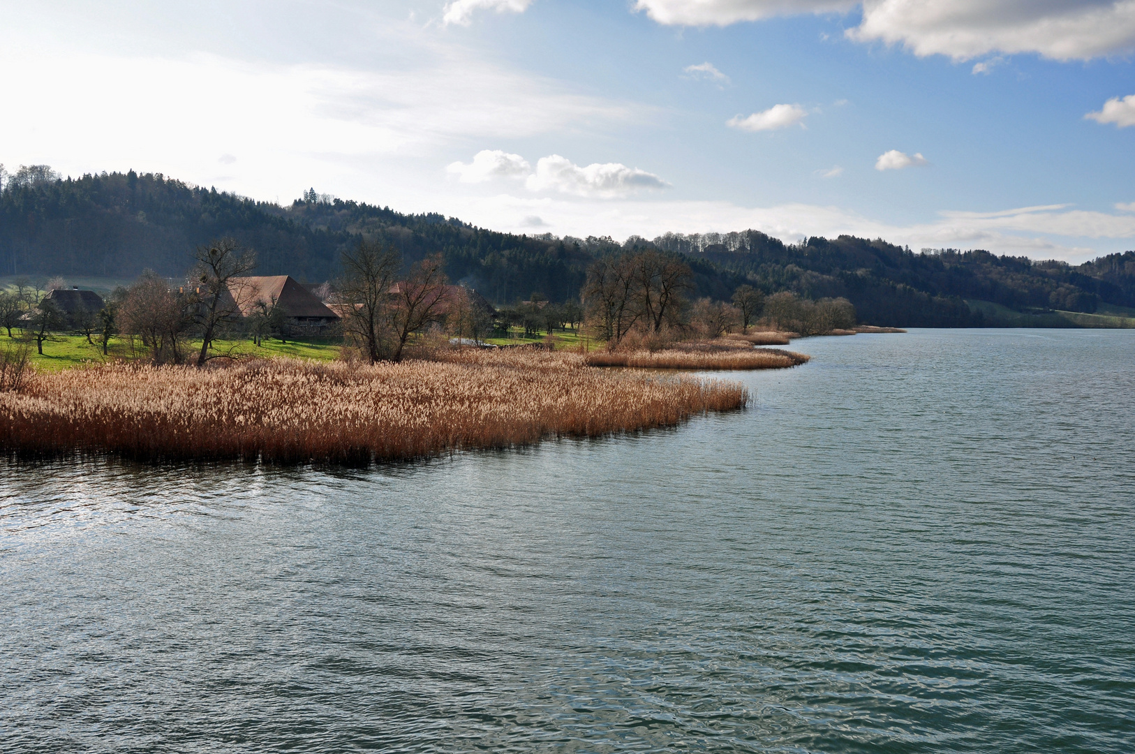 Aare bei Wohlen /Bern 2