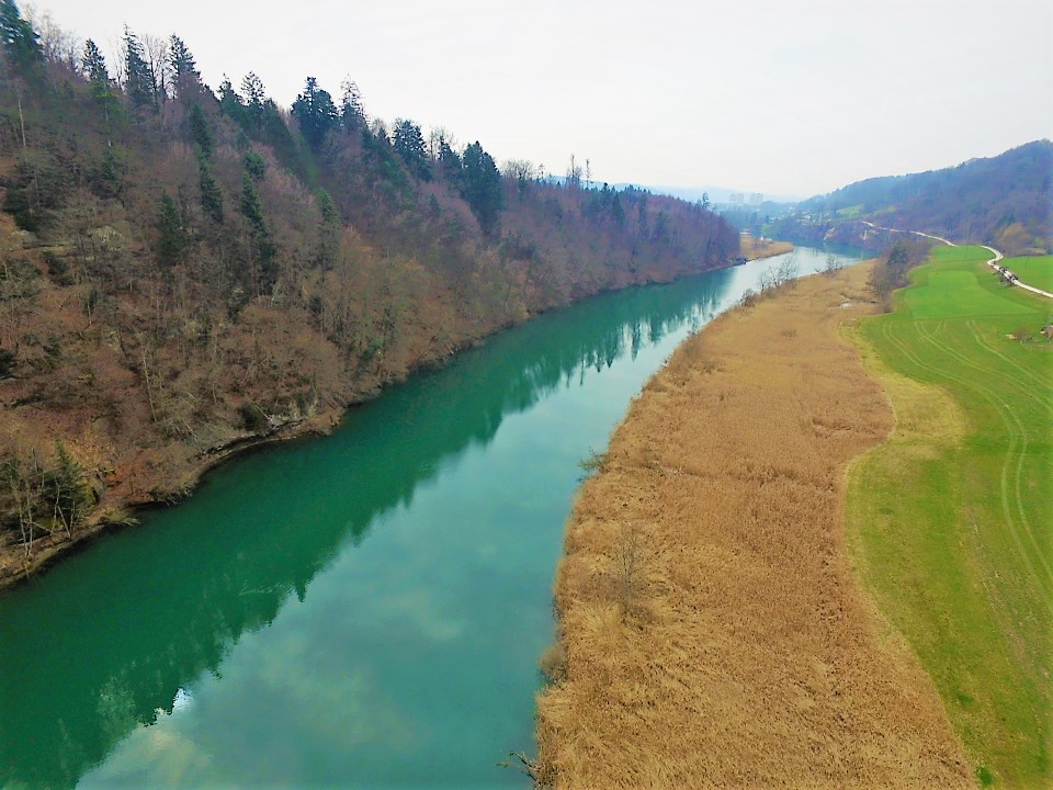 Aare ( Bern )