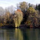 Aare im November