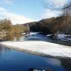 Aare mit Fähre zum Zehndermätteli