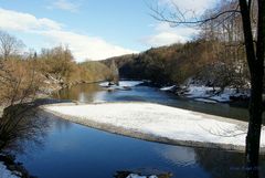 Aare mit Fähre zum Zehndermätteli