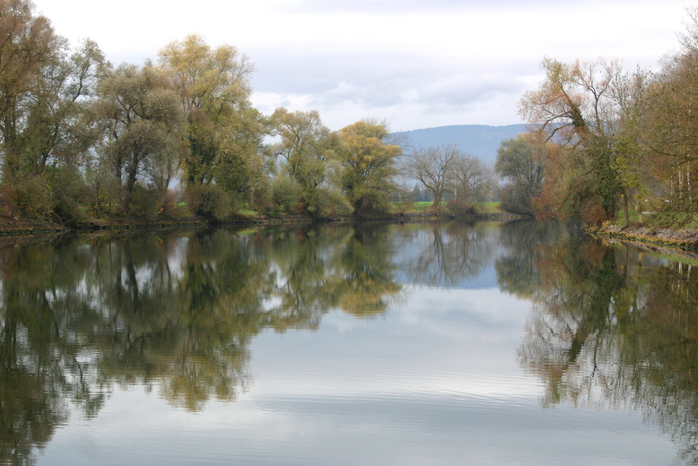 aare river in november