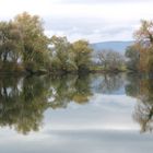 aare river in november