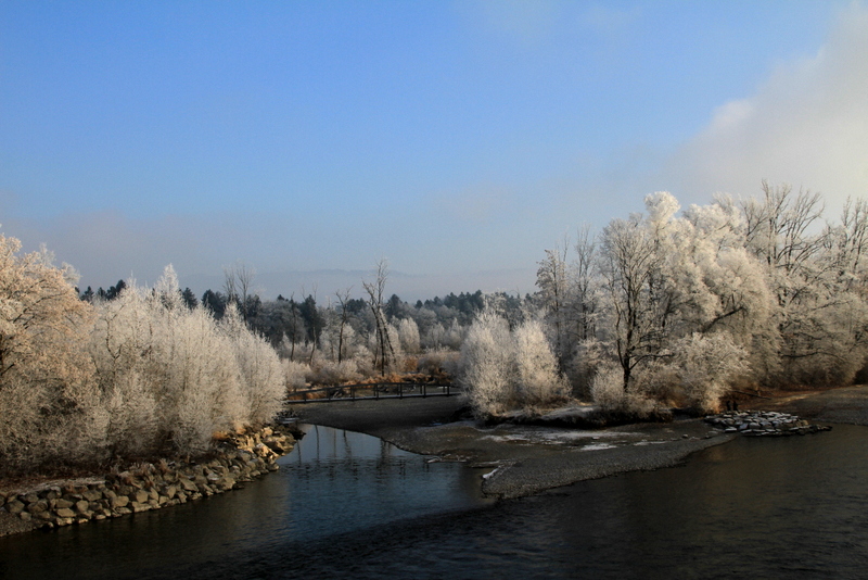 Aare Rubigen (BE)