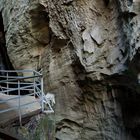 AARE-SCHLUCHT MEIRINGEN (5)