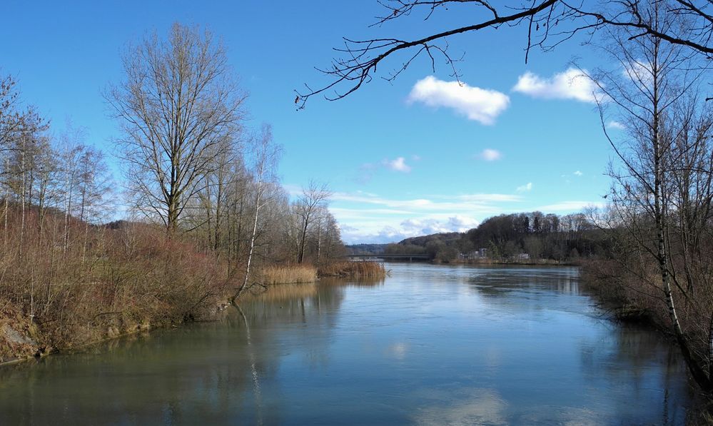 Aare unterhalb Wangen