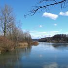 Aare unterhalb Wangen