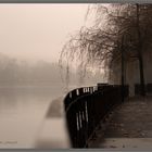 Aarekanal Thun im Nebel