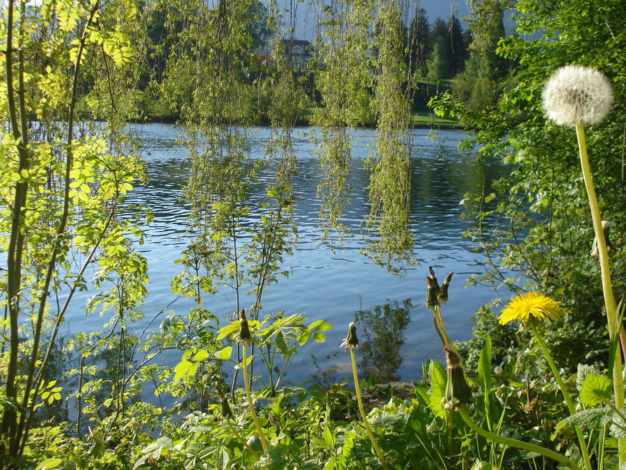 Aarelauf Solothurn - Zuchwil - Feldbrunnen