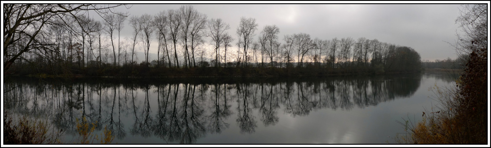 Aareschlaufe bei Büren an der Aare