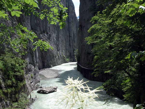 Aareschlucht