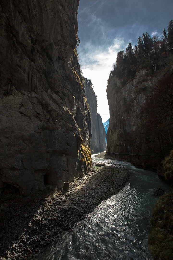 Aareschlucht (1)