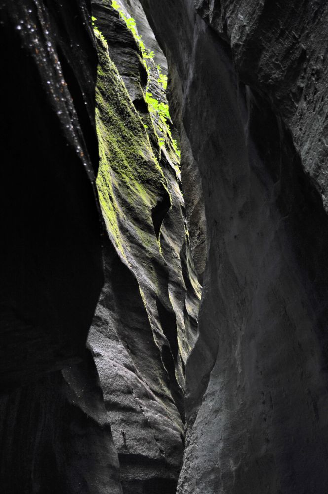 Aareschlucht