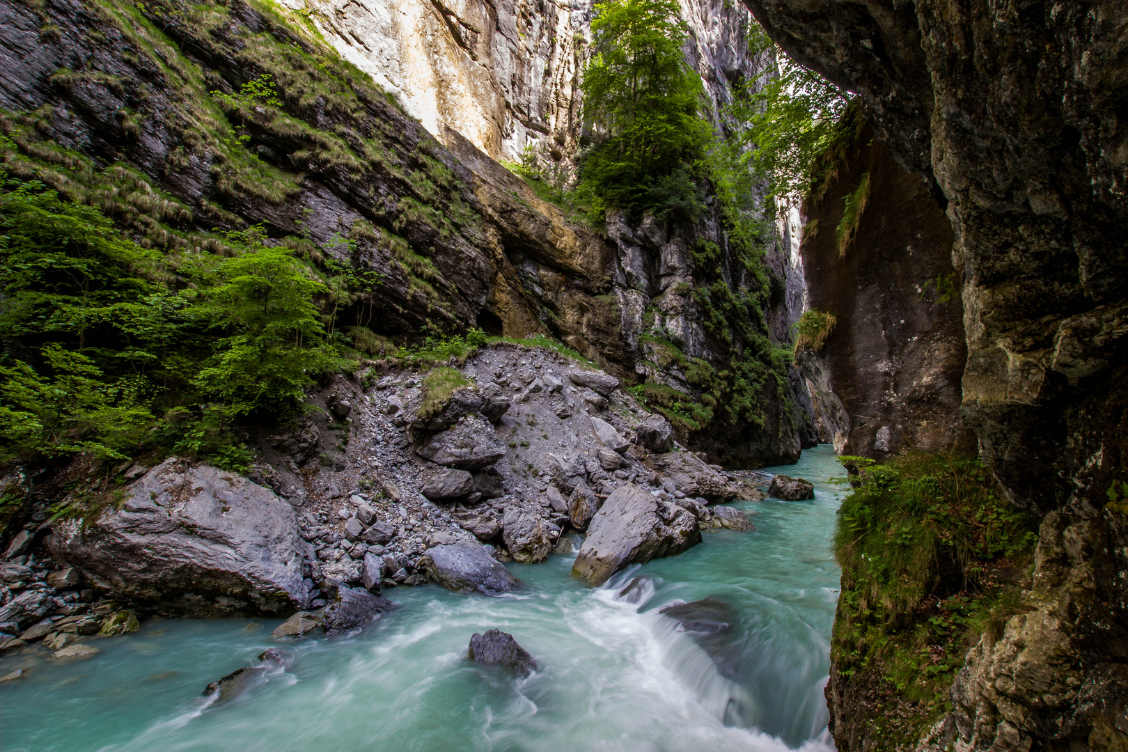 Aareschlucht