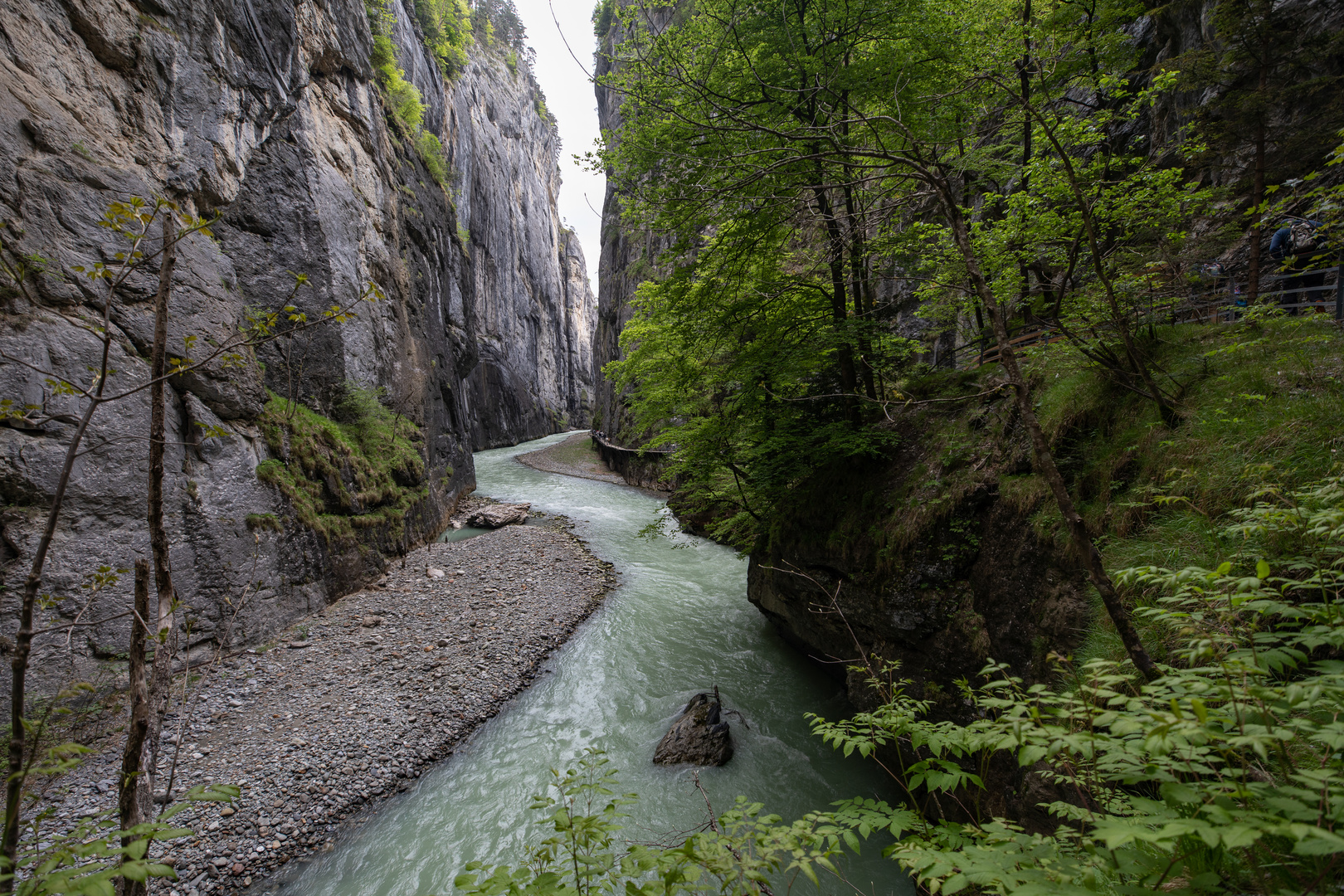 Aareschlucht