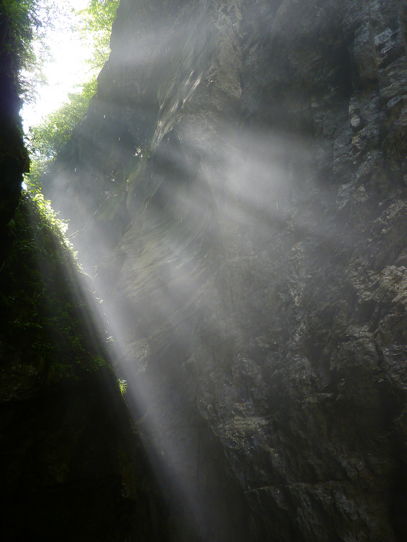 Aareschlucht