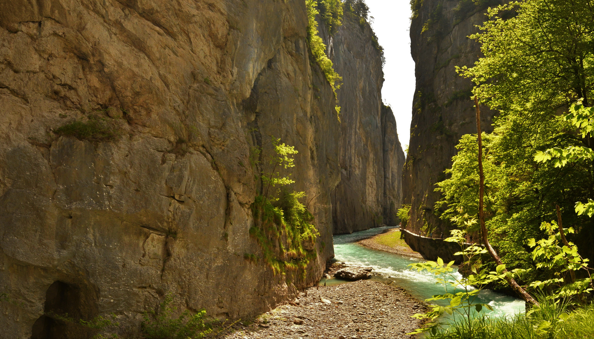 Aareschlucht