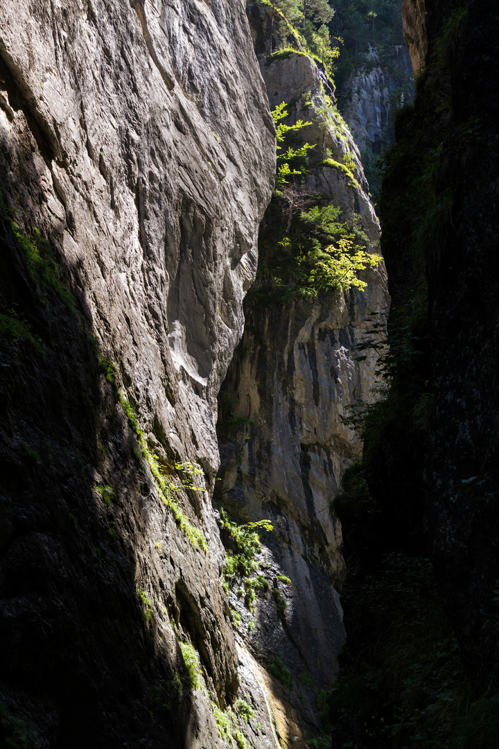 Aareschlucht_Heinz Schaub