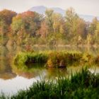 Aareufer bei Schinznach