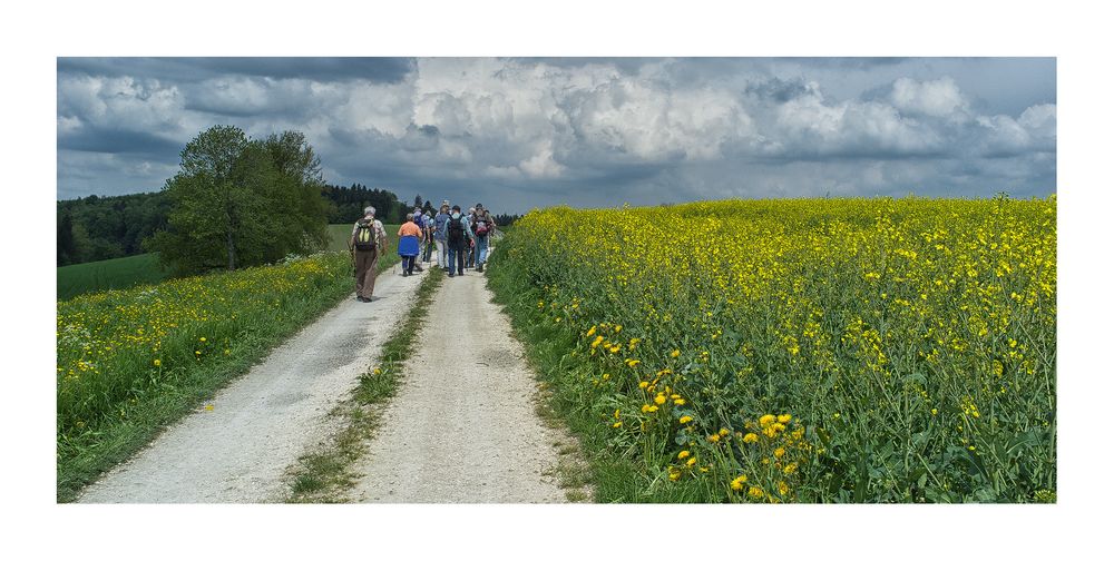 «Aargauer Emmental»