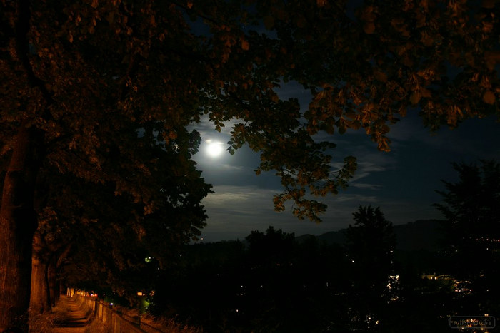 Aargauerstalden bei Vollmond