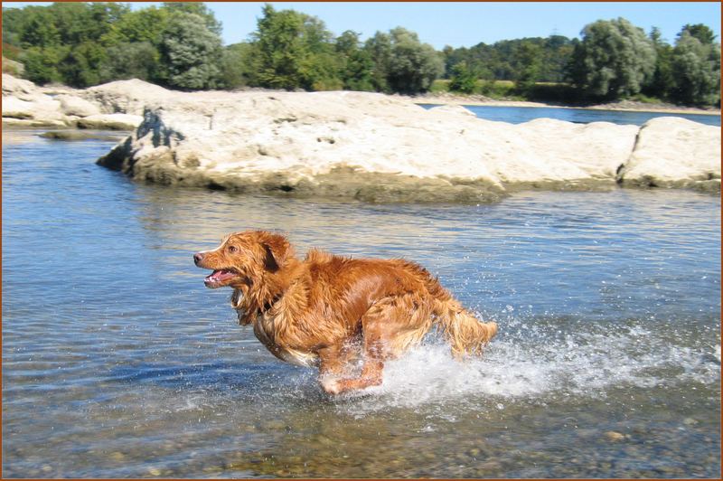 Aarlon liebt Wasser