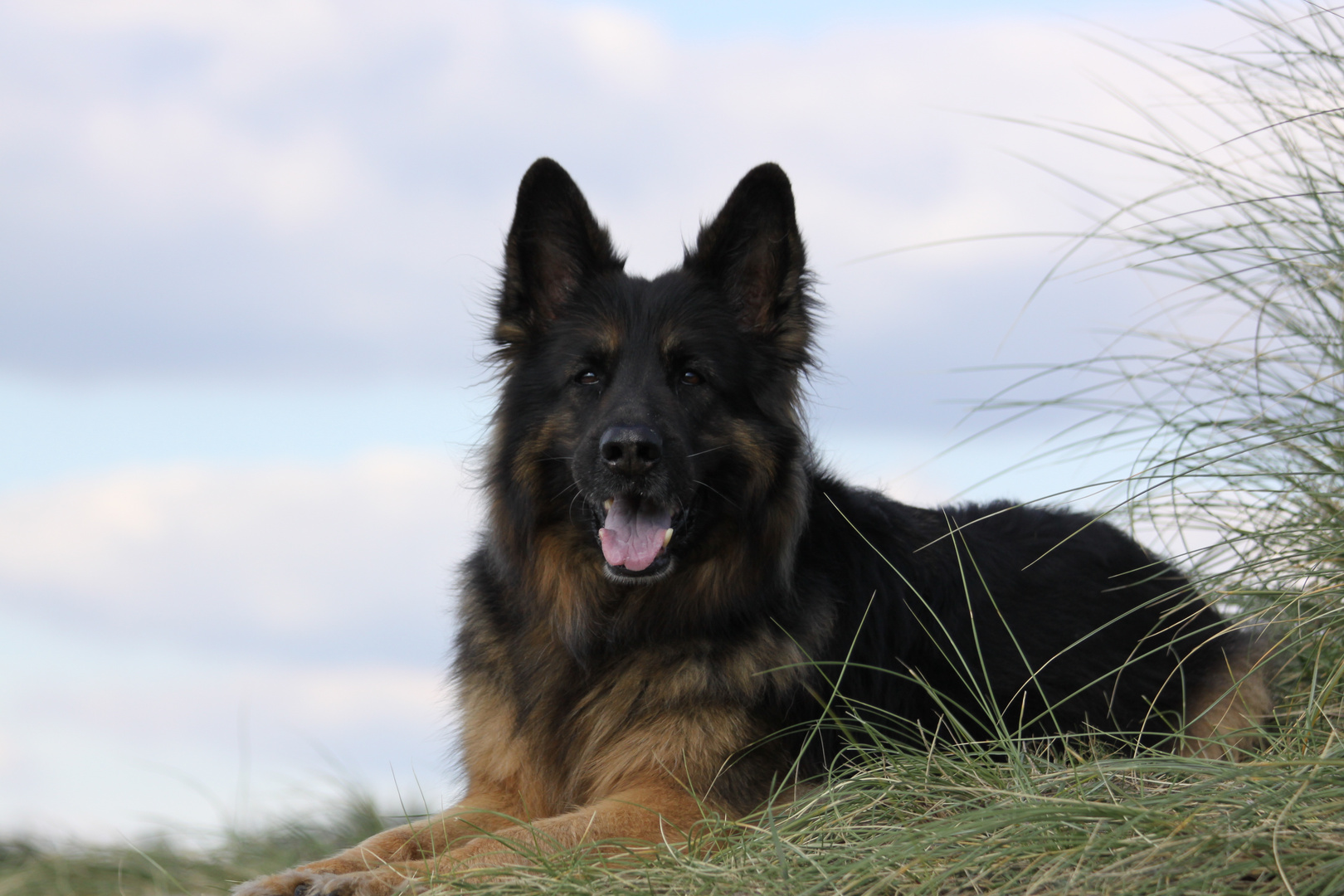 Aaron in Dänemark