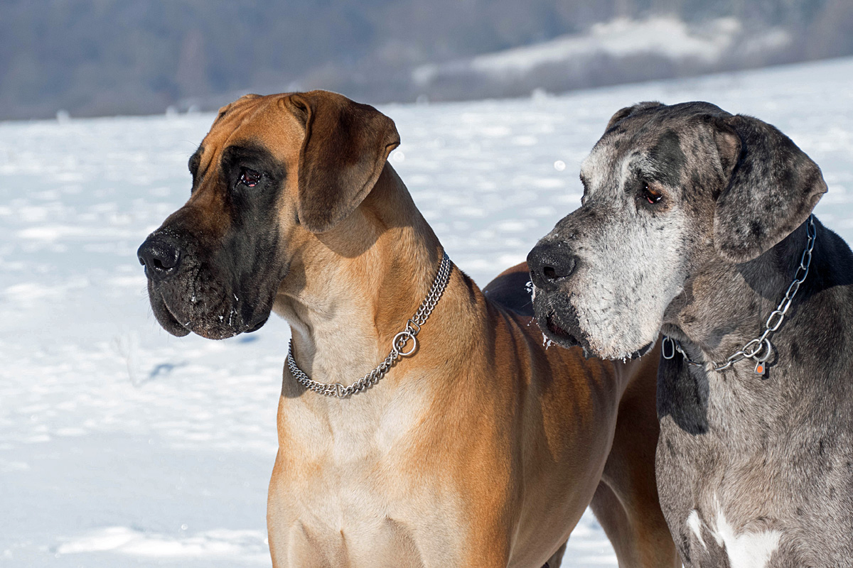 Aaron und Kira