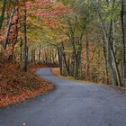 Aaron's Run in fall colors