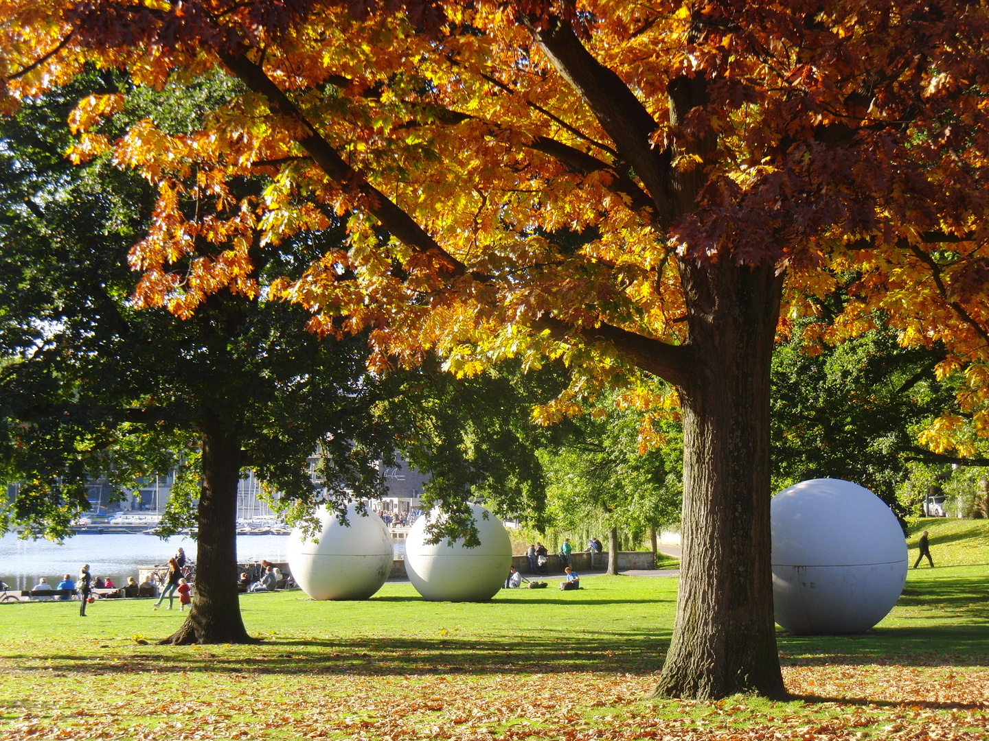 Aaseekugeln im Herbst