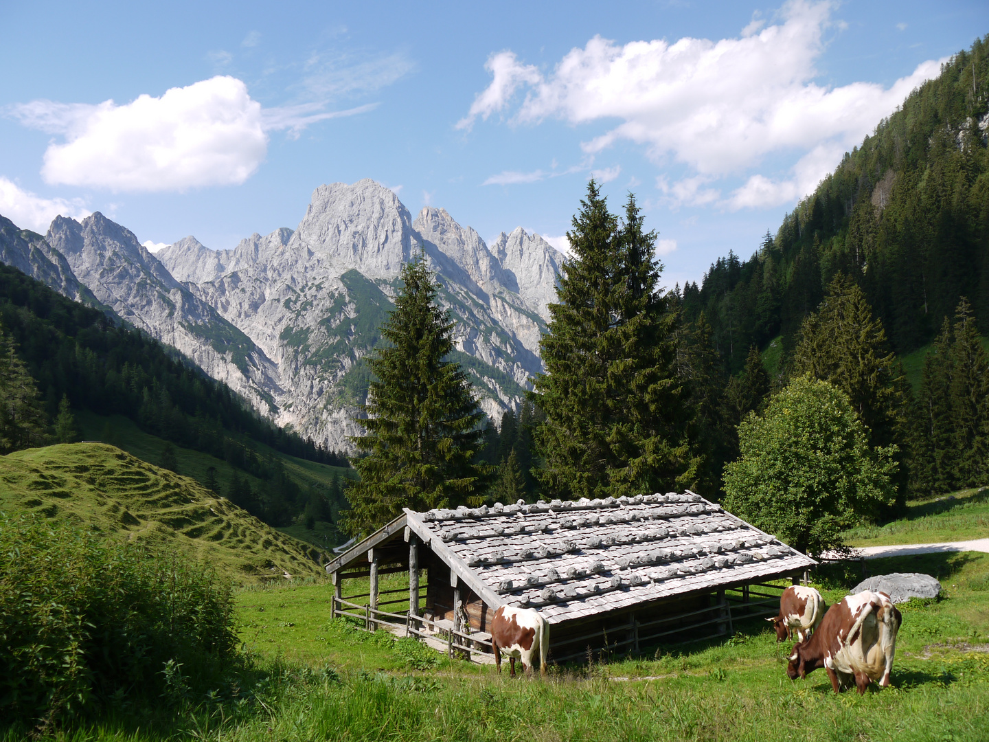 Ab auf die Alm!