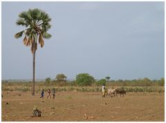 Ab auf's Feld