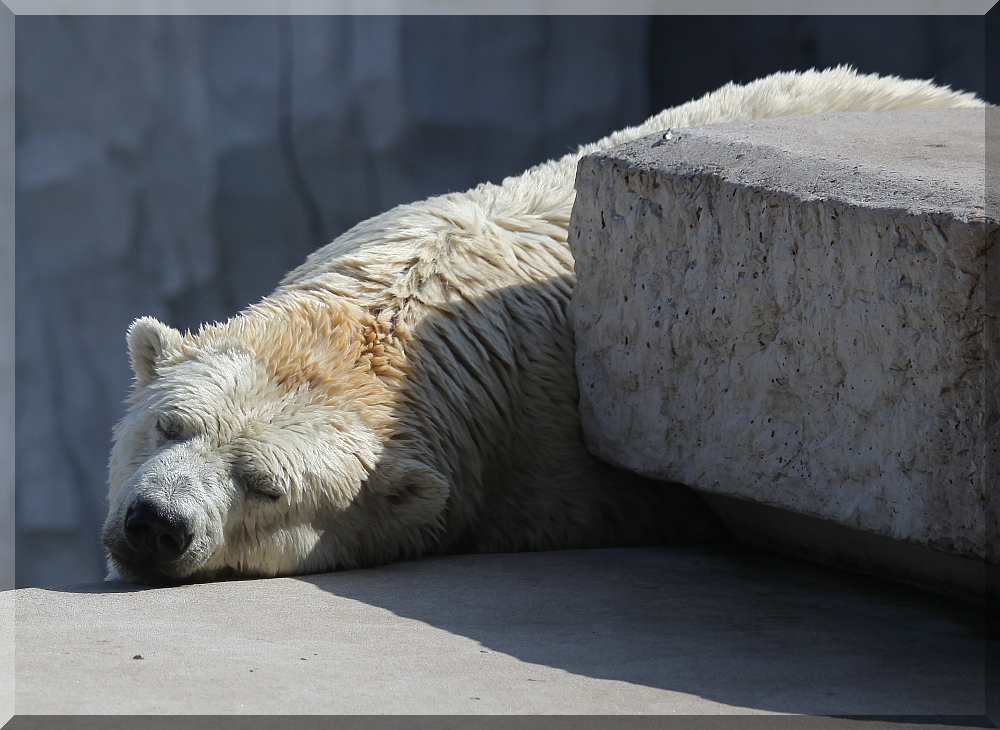 ... ab-chillen ...