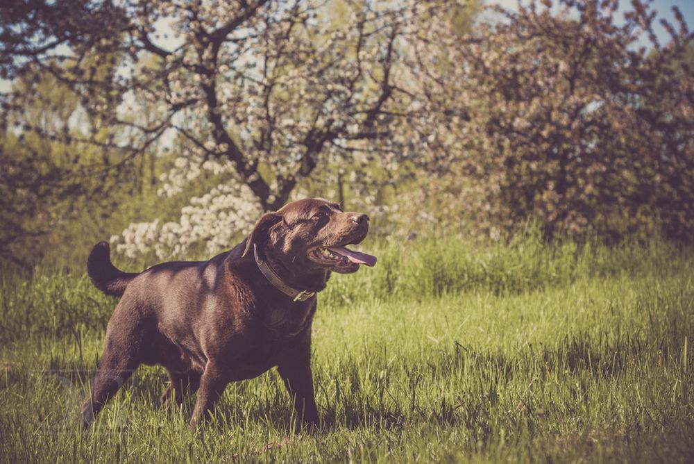 Ab durch den Frühling!