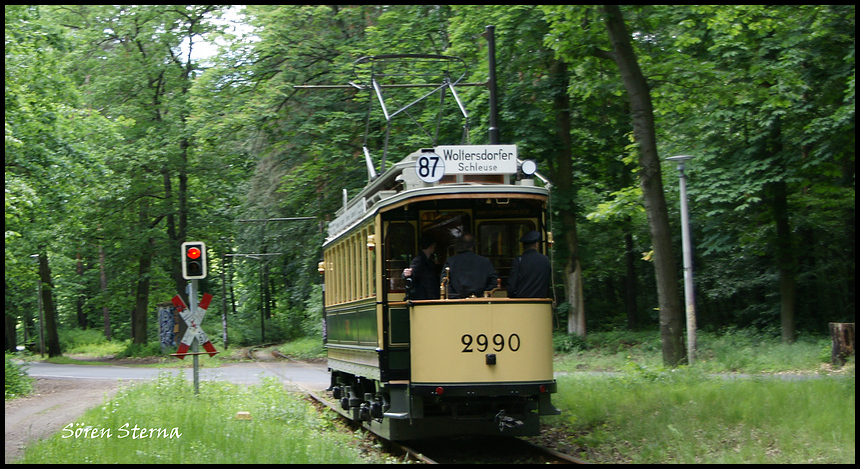 Ab durch den Wald ...